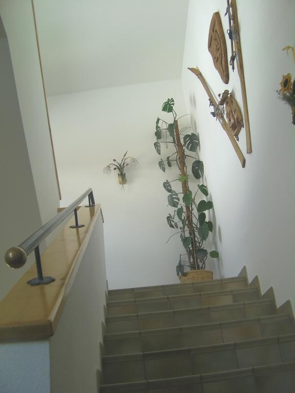 Haus Bergfried Apartment Filzmoos