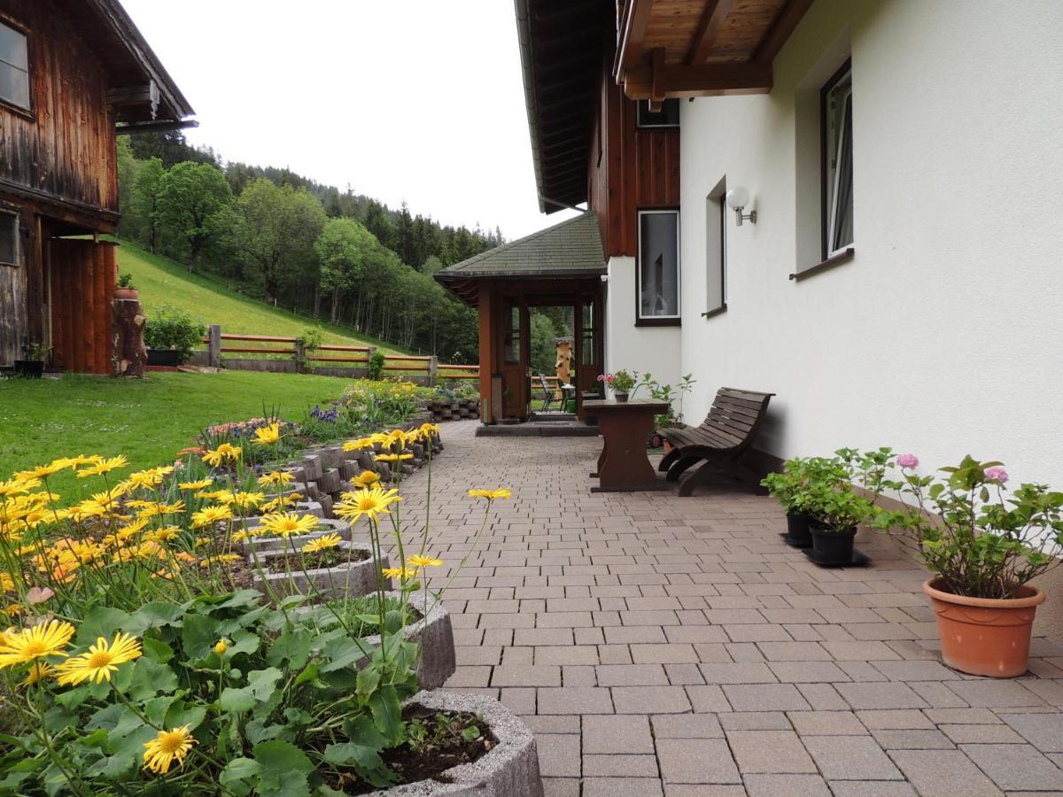 Haus Bergfried Apartment Filzmoos